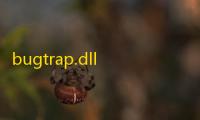 bugtrap.dll